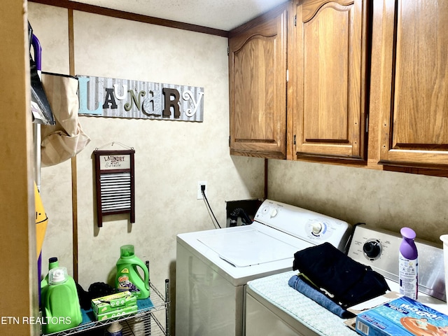 526 Forkners Chapel Rd, Sweetwater, TN 37874 - photo 17