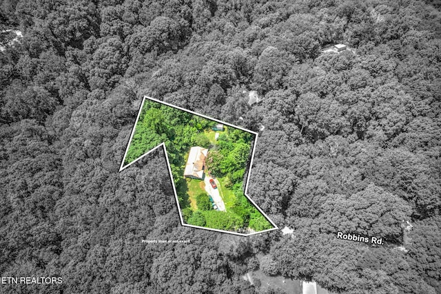 150 Robbins Rd, Harriman, TN 37748 - photo 4