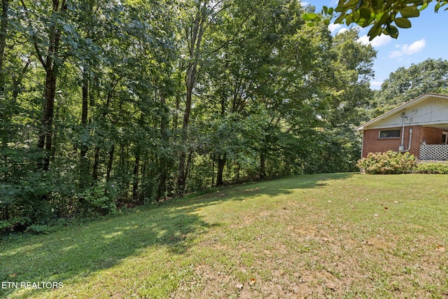 150 Robbins Rd, Harriman, TN 37748 - photo 17