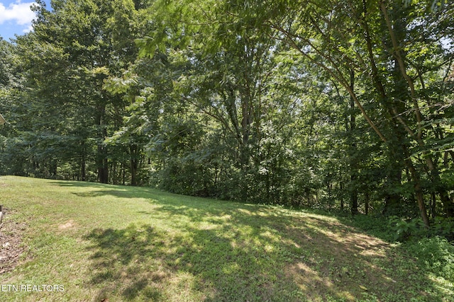 150 Robbins Rd, Harriman, TN 37748 - photo 20
