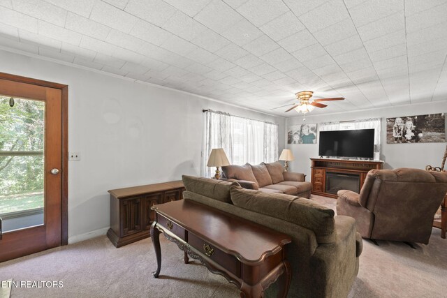 150 Robbins Rd, Harriman, TN 37748 - photo 6