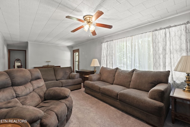 150 Robbins Rd, Harriman, TN 37748 - photo 5