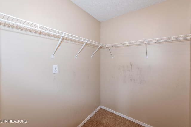 561 Ravenwood Dr, Maryville, TN 37801 - photo 23