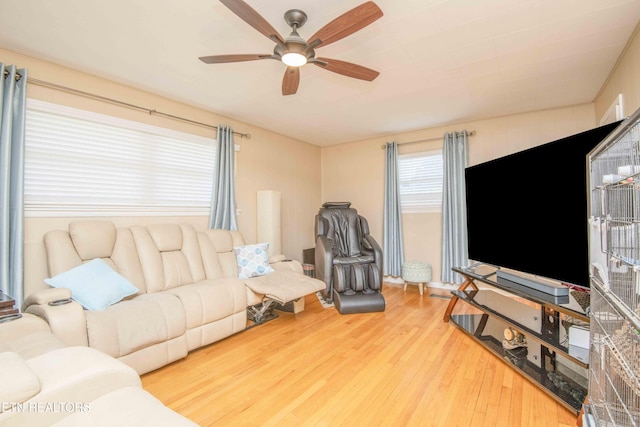 100 Viola Rd, Oak Ridge, TN 37830 - photo 4