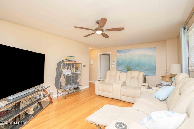 100 Viola Rd, Oak Ridge, TN 37830 - photo 8