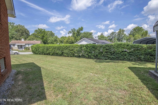 100 Viola Rd, Oak Ridge, TN 37830 - photo 39