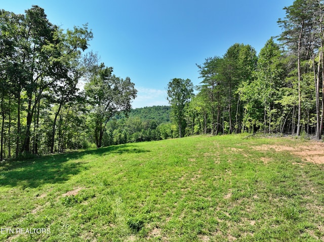 521 Norton Rd, Ten Mile, TN 37880 - photo 1