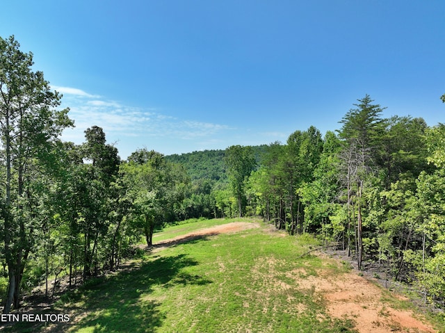 521 Norton Rd, Ten Mile, TN 37880 - photo 24