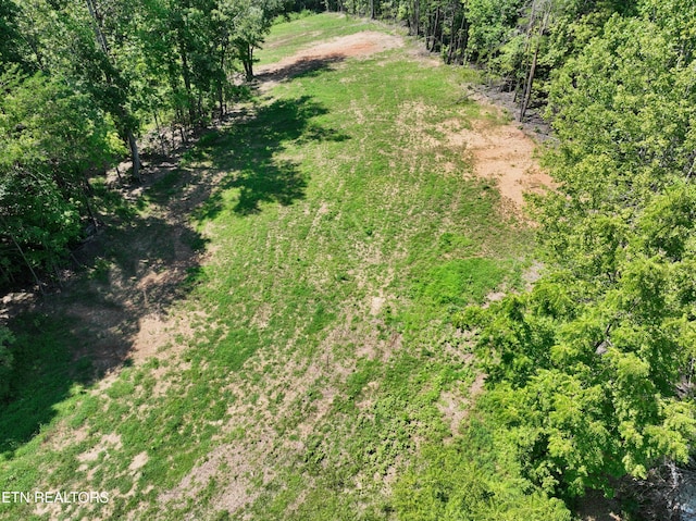 521 Norton Rd, Ten Mile, TN 37880 - photo 25