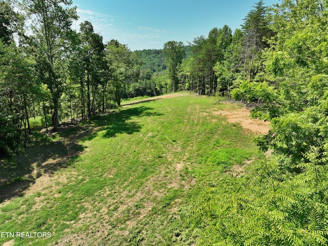 521 Norton Rd, Ten Mile, TN 37880 - photo 26