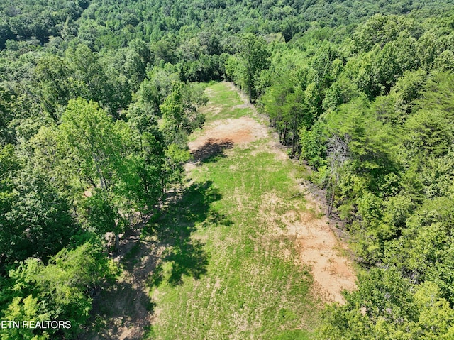 521 Norton Rd, Ten Mile, TN 37880 - photo 28
