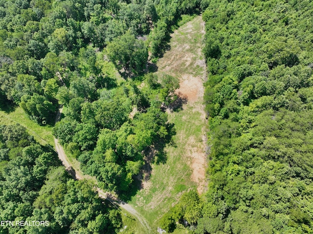 521 Norton Rd, Ten Mile, TN 37880 - photo 29