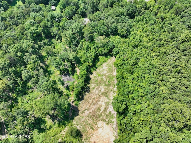521 Norton Rd, Ten Mile, TN 37880 - photo 30