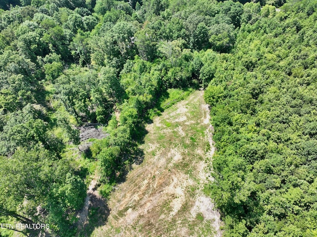 521 Norton Rd, Ten Mile, TN 37880 - photo 31