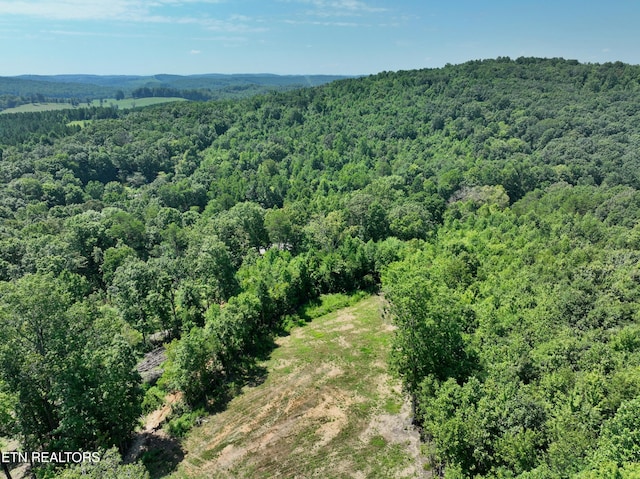 521 Norton Rd, Ten Mile, TN 37880 - photo 32