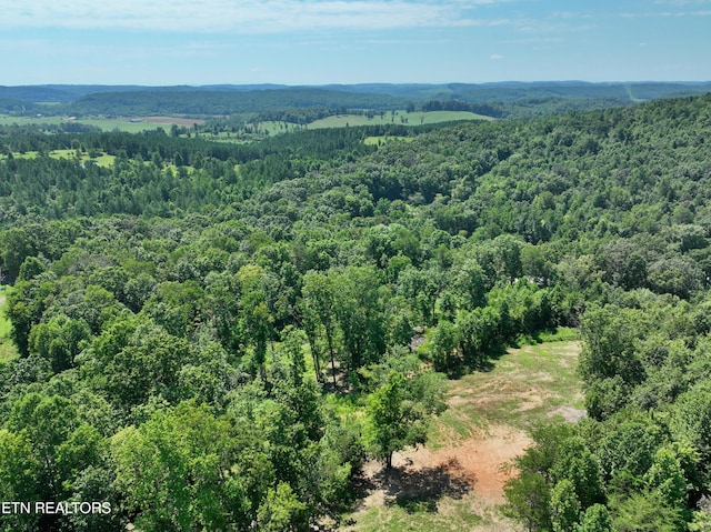 521 Norton Rd, Ten Mile, TN 37880 - photo 33