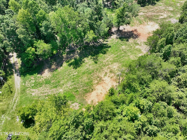 521 Norton Rd, Ten Mile, TN 37880 - photo 34