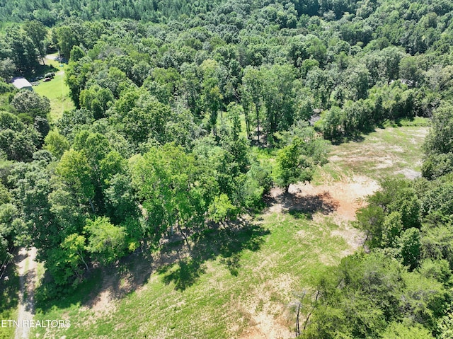 521 Norton Rd, Ten Mile, TN 37880 - photo 35