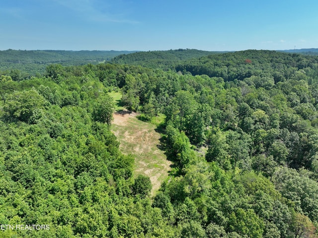 521 Norton Rd, Ten Mile, TN 37880 - photo 37
