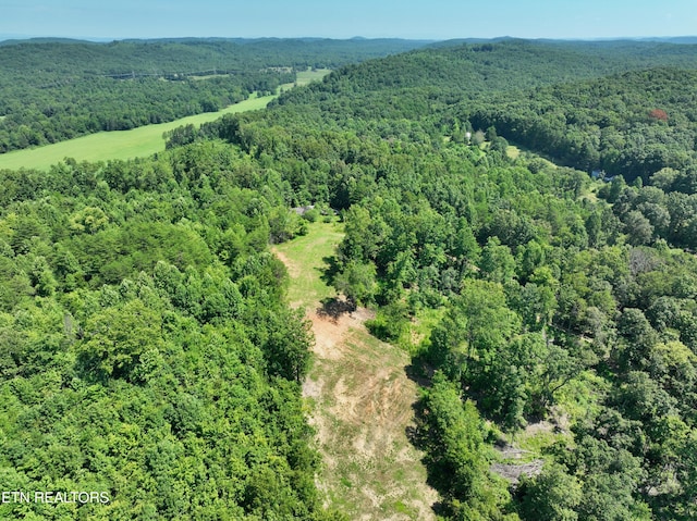 521 Norton Rd, Ten Mile, TN 37880 - photo 38