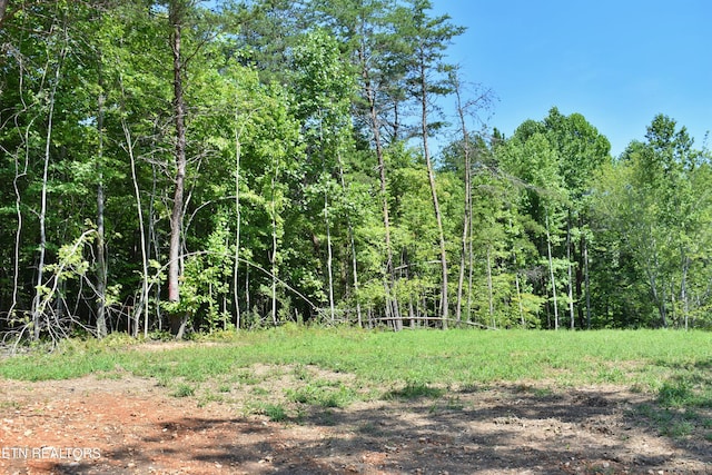 521 Norton Rd, Ten Mile, TN 37880 - photo 2