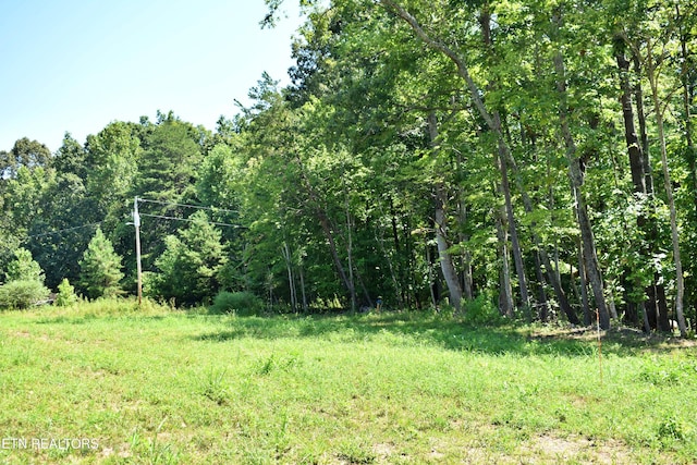 521 Norton Rd, Ten Mile, TN 37880 - photo 3