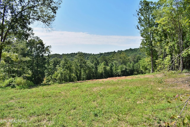 521 Norton Rd, Ten Mile, TN 37880 - photo 4