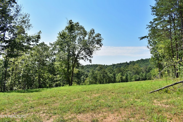 521 Norton Rd, Ten Mile, TN 37880 - photo 5