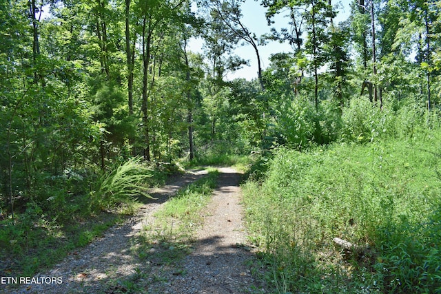 521 Norton Rd, Ten Mile, TN 37880 - photo 39