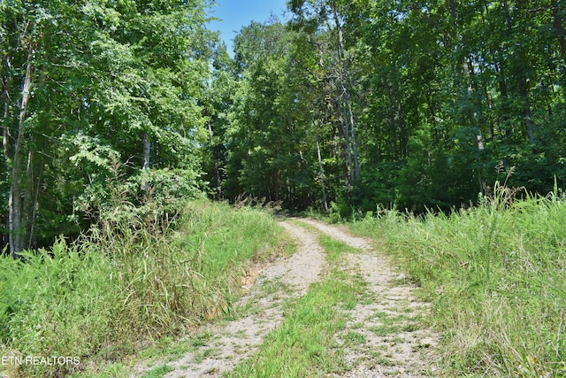 521 Norton Rd, Ten Mile, TN 37880 - photo 40