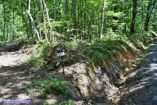 521 Norton Rd, Ten Mile, TN 37880 - photo 41