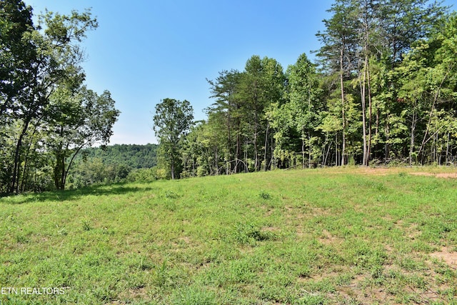 521 Norton Rd, Ten Mile, TN 37880 - photo 6