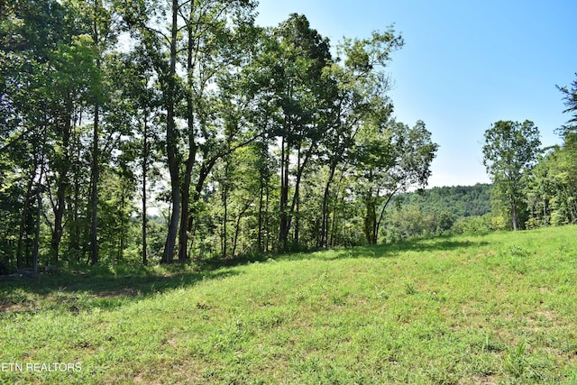 521 Norton Rd, Ten Mile, TN 37880 - photo 7