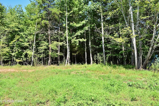 521 Norton Rd, Ten Mile, TN 37880 - photo 8