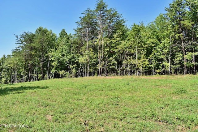 521 Norton Rd, Ten Mile, TN 37880 - photo 9