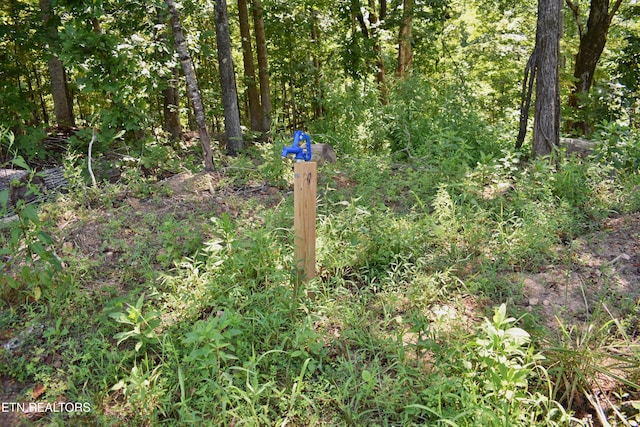 521 Norton Rd, Ten Mile, TN 37880 - photo 11