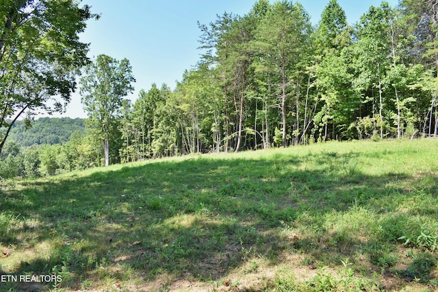 521 Norton Rd, Ten Mile, TN 37880 - photo 12