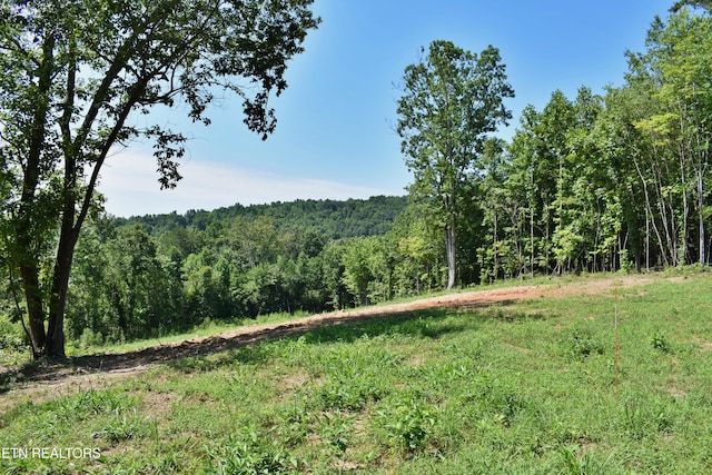 521 Norton Rd, Ten Mile, TN 37880 - photo 13