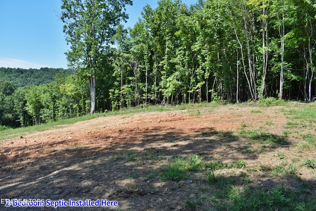 521 Norton Rd, Ten Mile, TN 37880 - photo 14