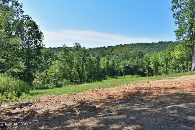 521 Norton Rd, Ten Mile, TN 37880 - photo 15