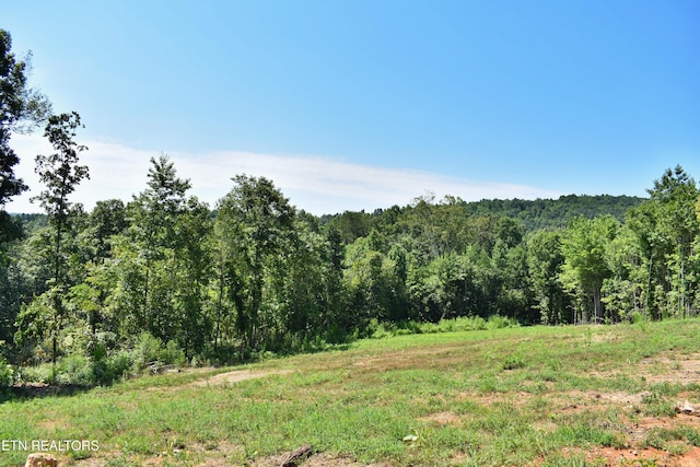 521 Norton Rd, Ten Mile, TN 37880 - photo 16
