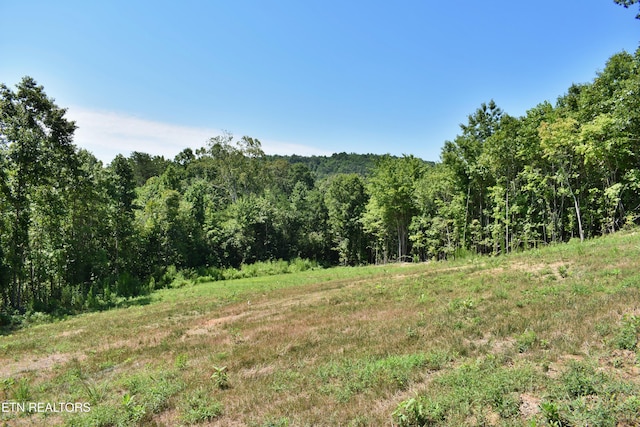 521 Norton Rd, Ten Mile, TN 37880 - photo 23