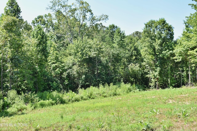 521 Norton Rd, Ten Mile, TN 37880 - photo 18