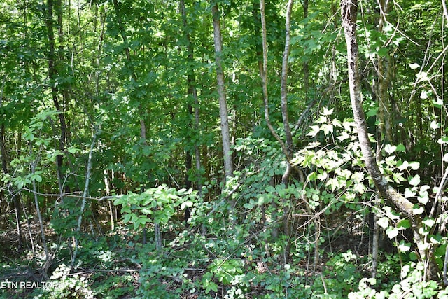 521 Norton Rd, Ten Mile, TN 37880 - photo 19