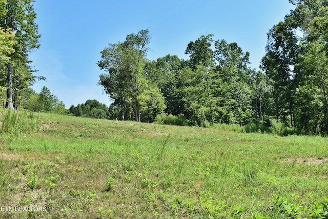 521 Norton Rd, Ten Mile, TN 37880 - photo 21
