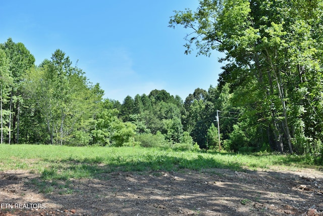521 Norton Rd, Ten Mile, TN 37880 - photo 22