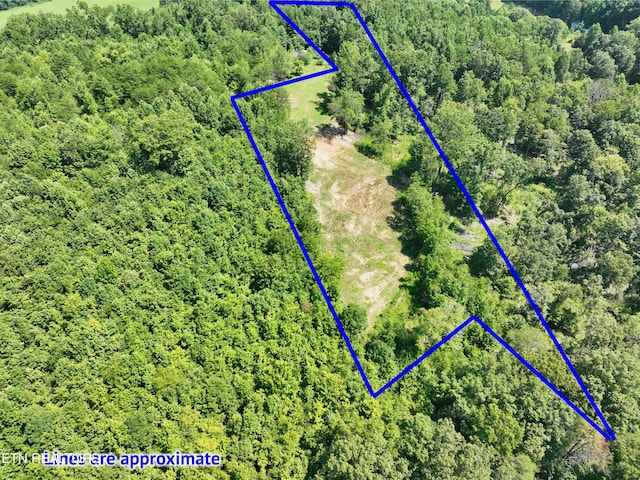 521 Norton Rd, Ten Mile, TN 37880 - photo 36