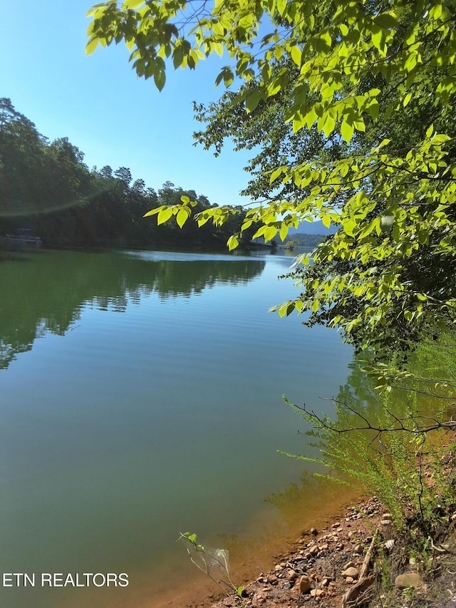 Old Chisholm Trl, Dandridge, TN 37725 - photo 2