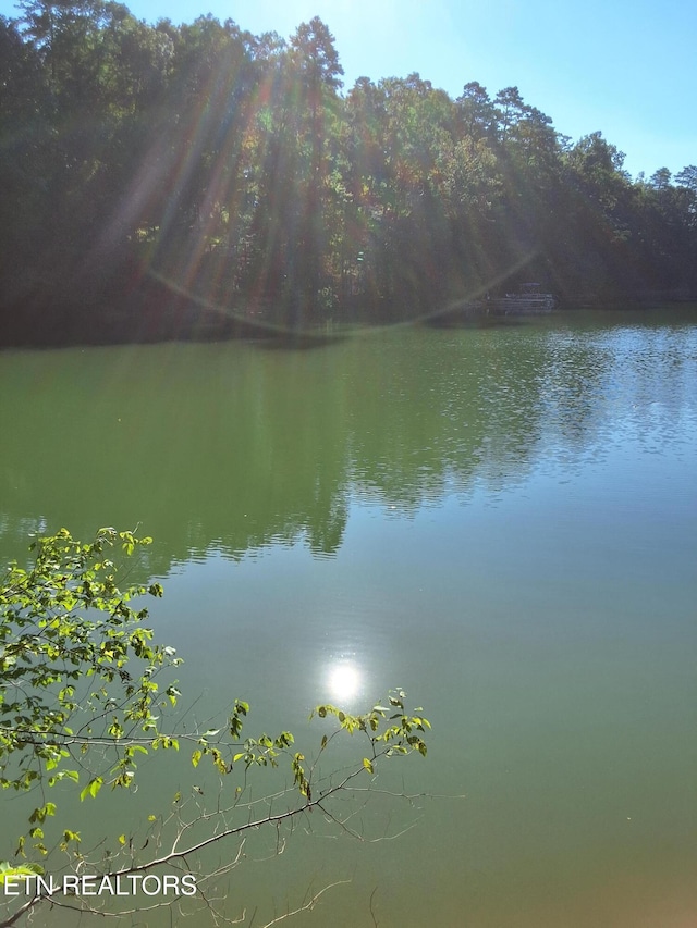 Old Chisholm Trl, Dandridge, TN 37725 - photo 6