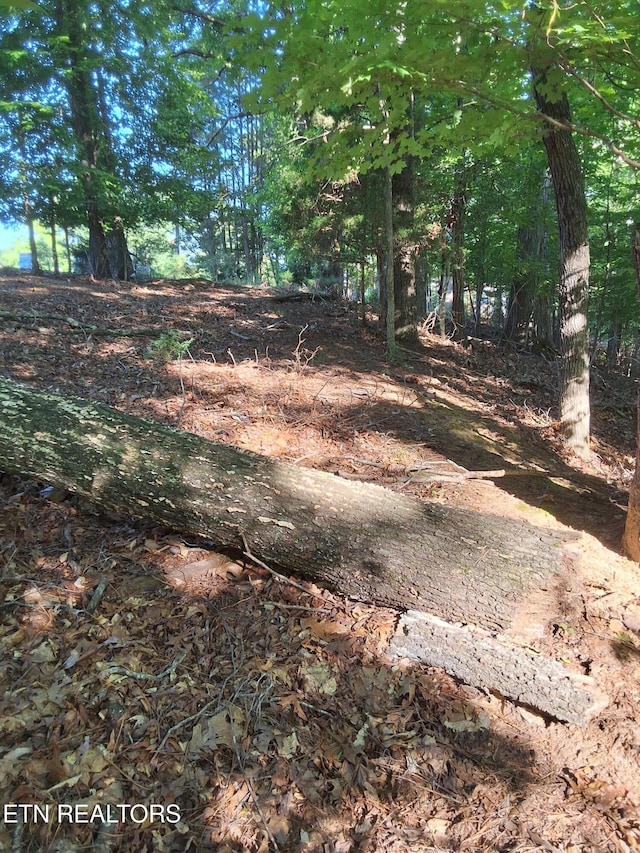 Old Chisholm Trl, Dandridge, TN 37725 - photo 10